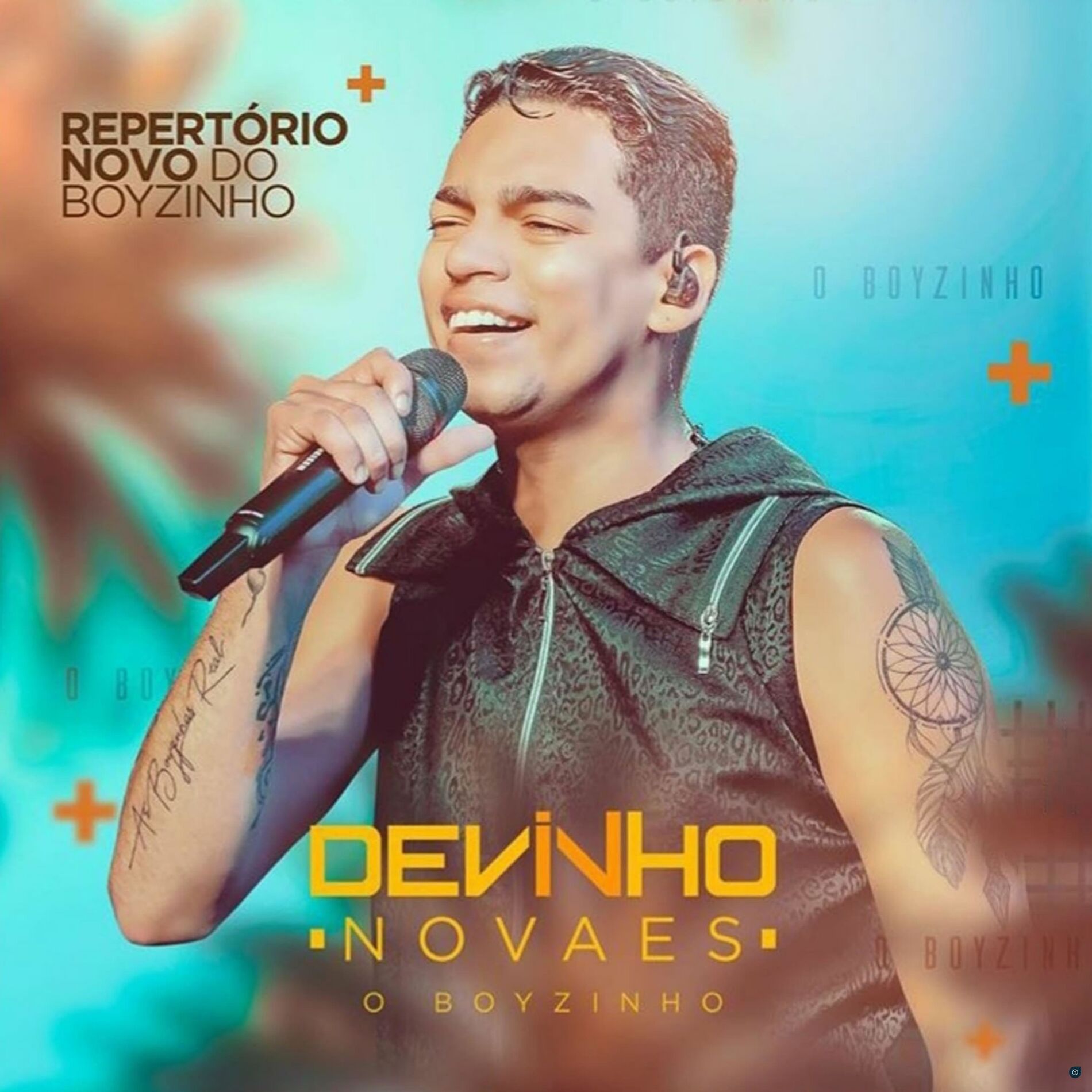 Album cover of Repertório Novo do Boyzinho