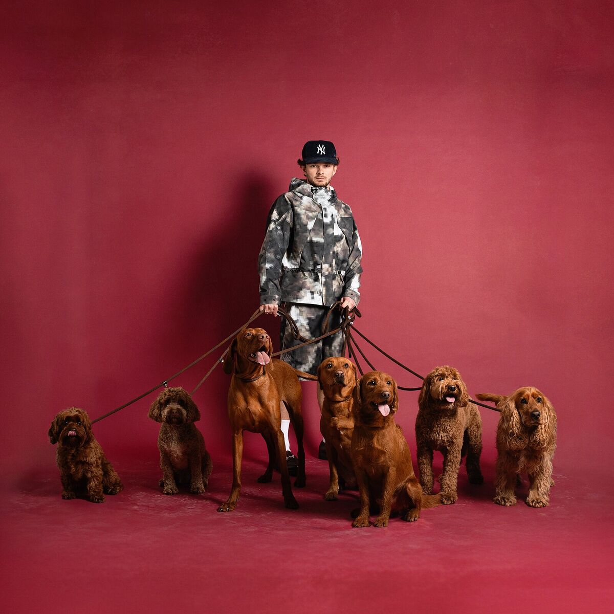 Album cover of Liam's Eavestaff
