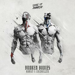 Cover of Broken Bodies