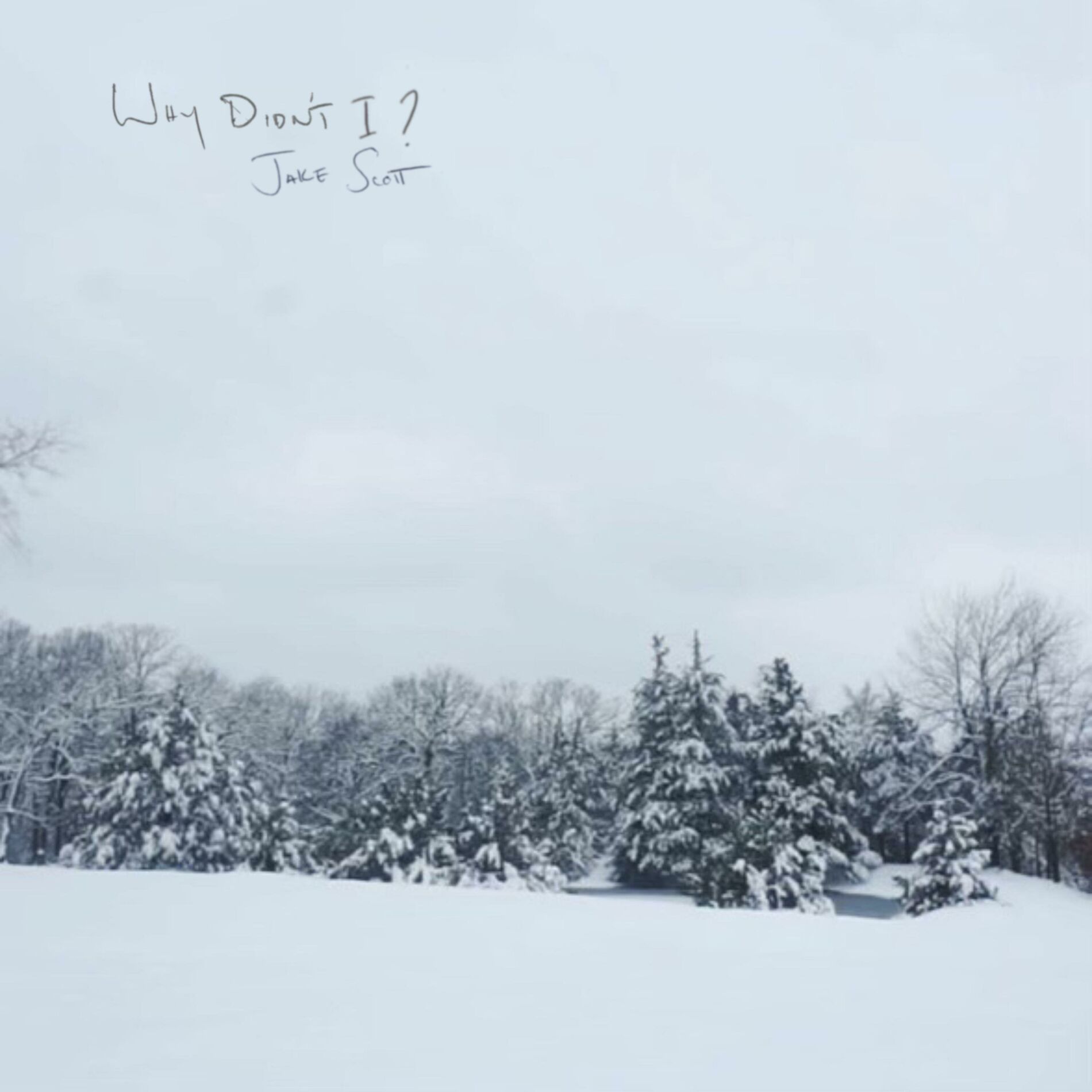 Album cover of Why Didn't I?