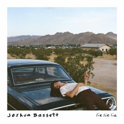 Cover of Lie Lie Lie