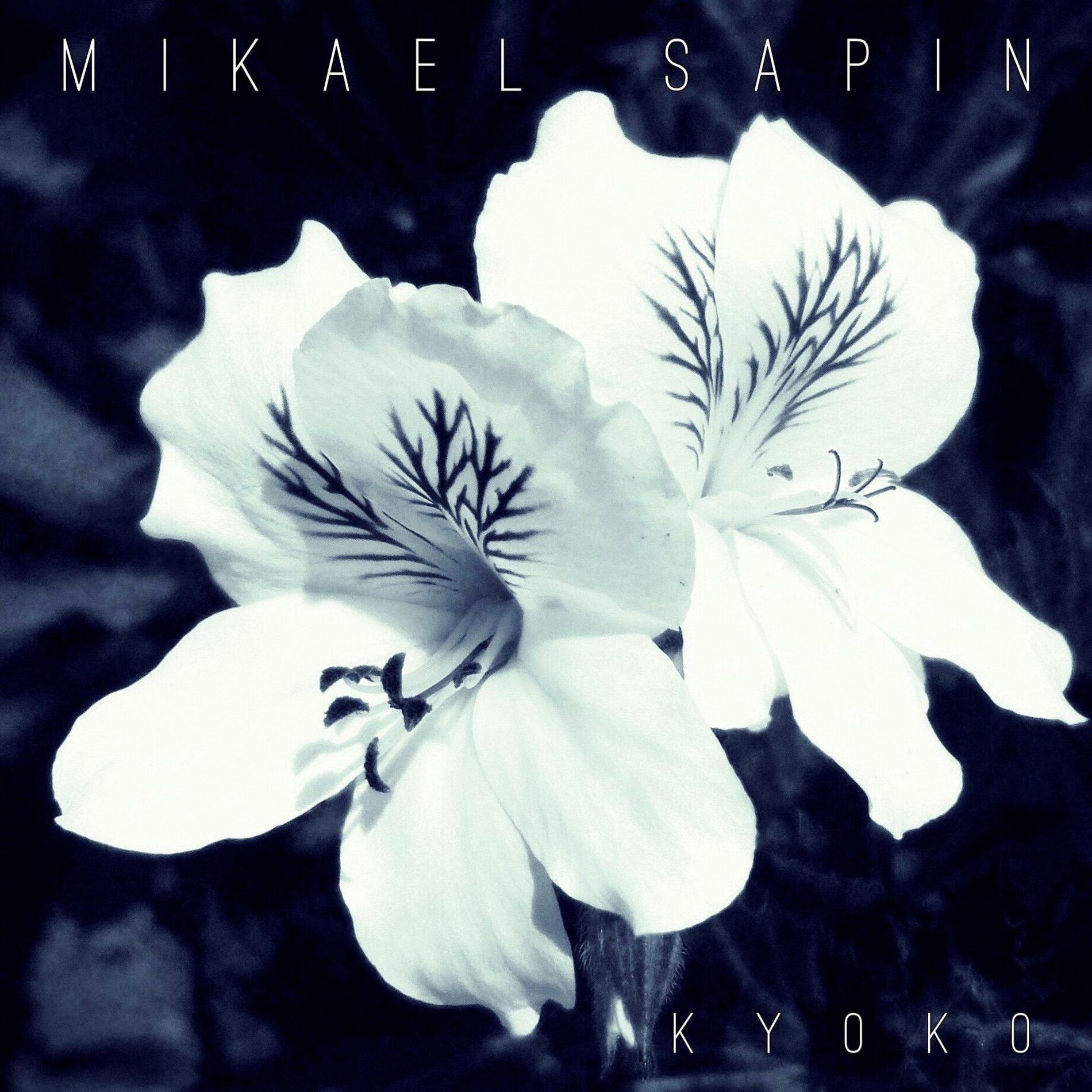 Album cover of Kyoko