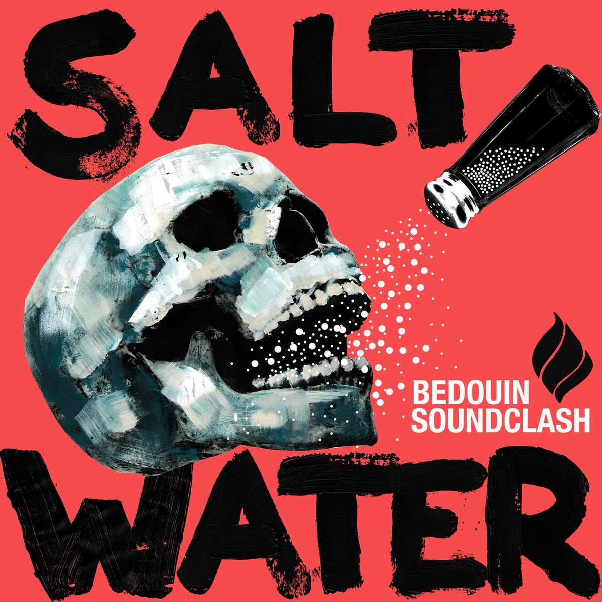 Album cover of Salt Water