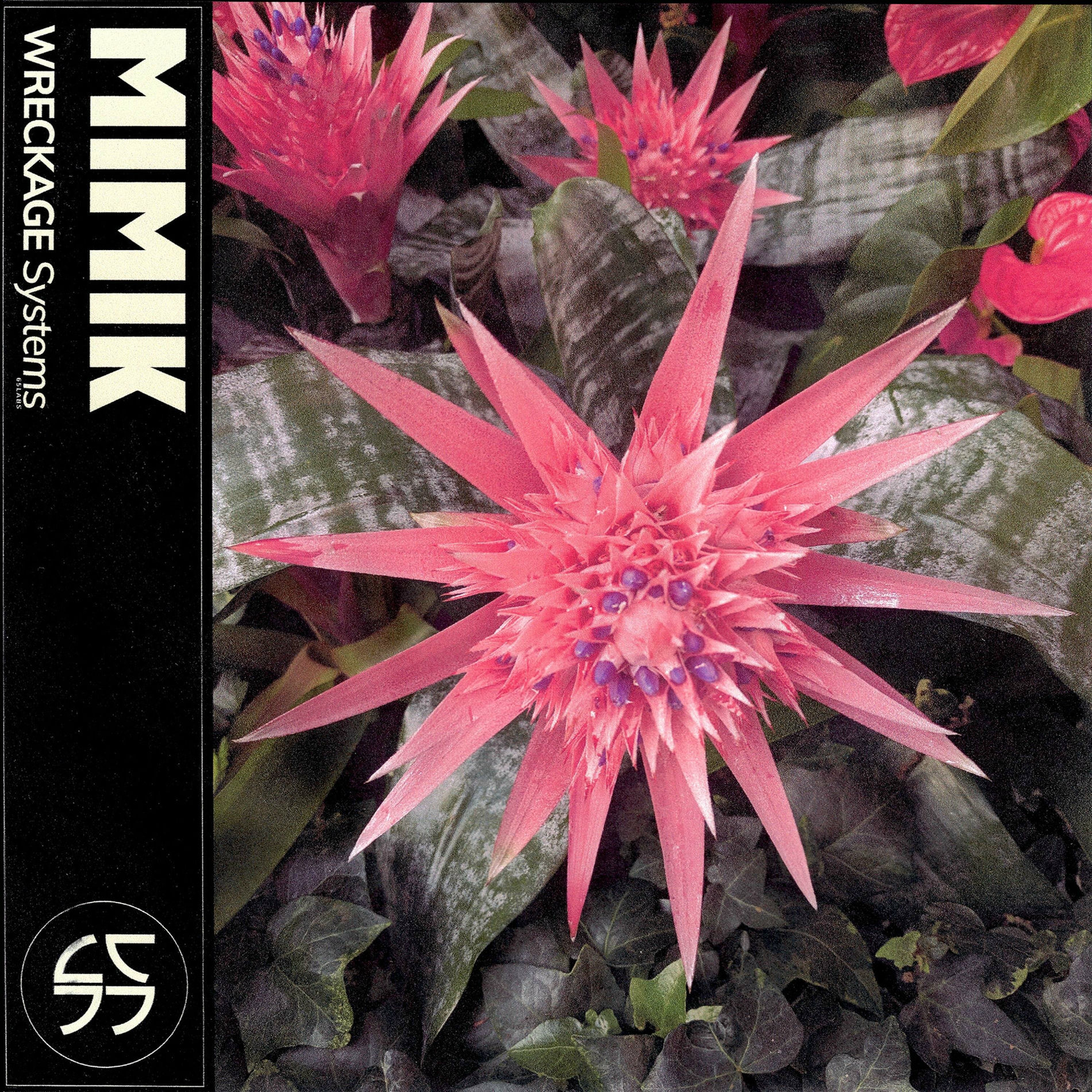 Album cover of Mimik