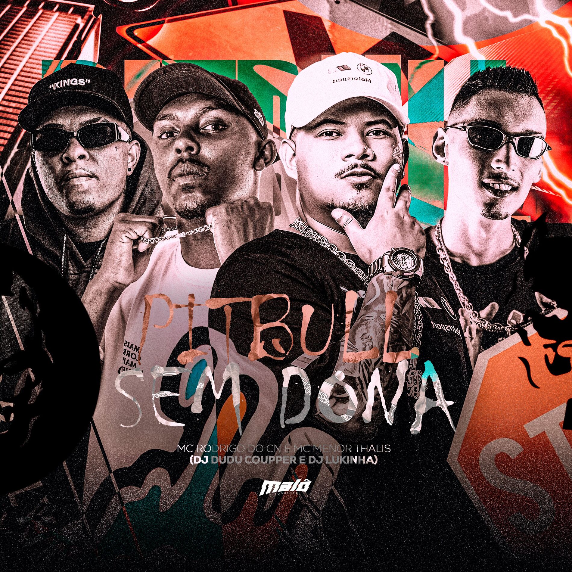 Album cover of Pitbull sem Dona