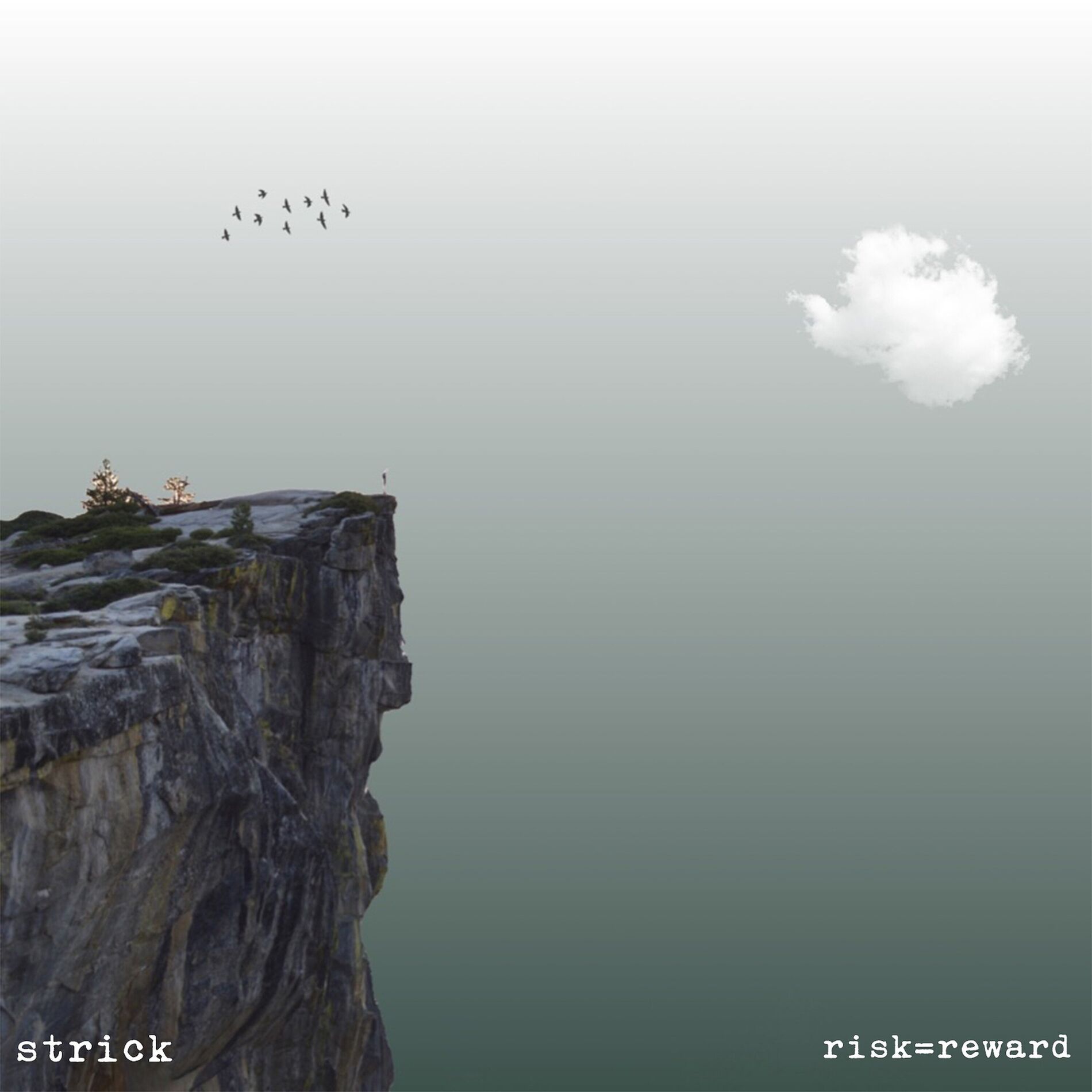 Album cover of risk=reward