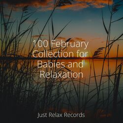 Cover of 100 February Collection for Babies and Relaxation