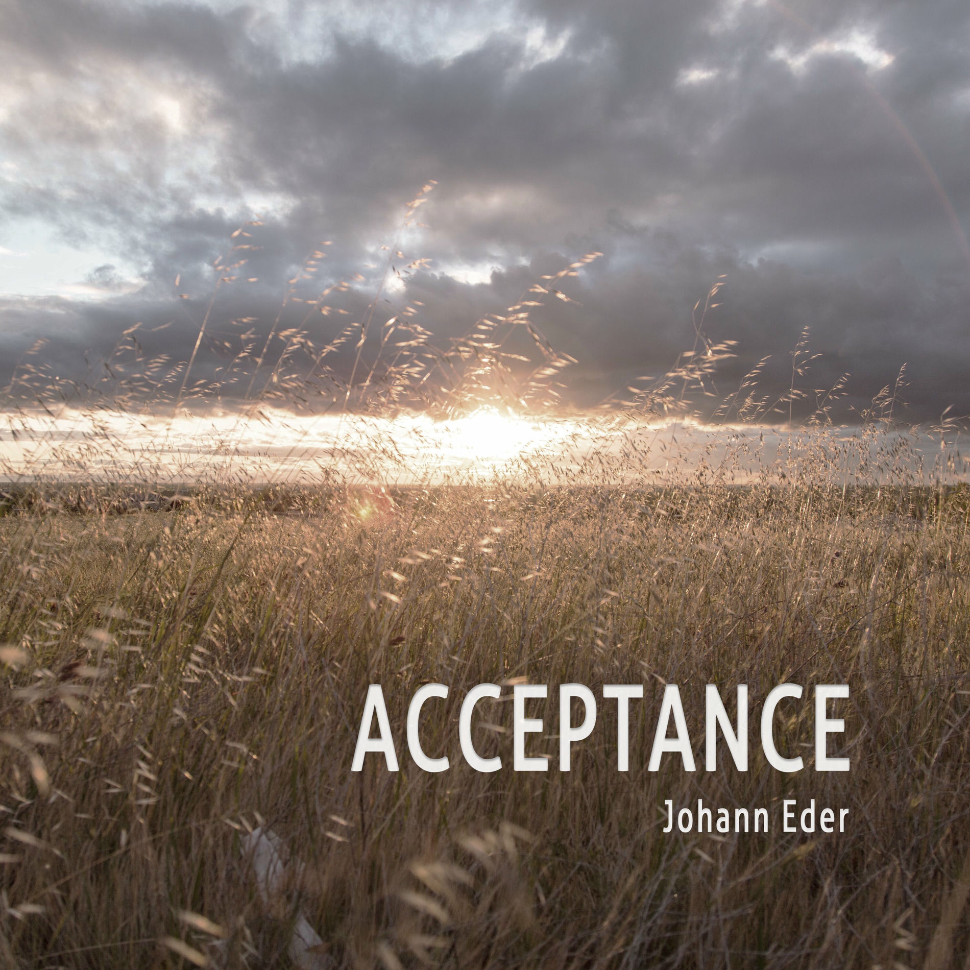 Album cover of Acceptance