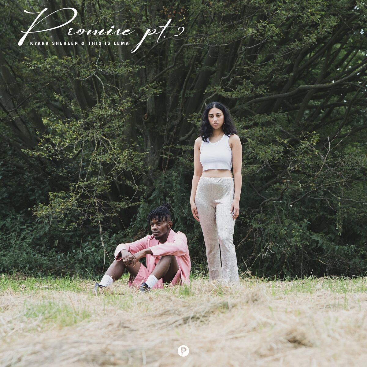 Album cover of Promise Pt. 2