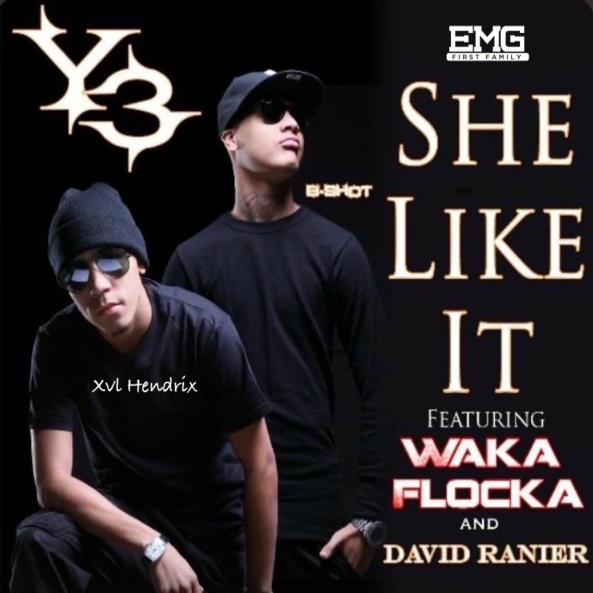 Album cover of She Like It