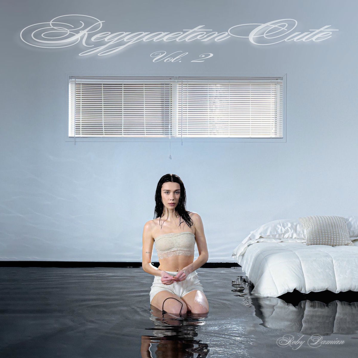 Album cover of MI D