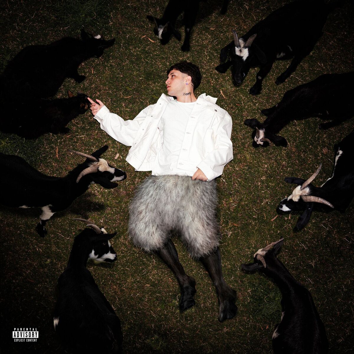 Album cover of GOAT TALK