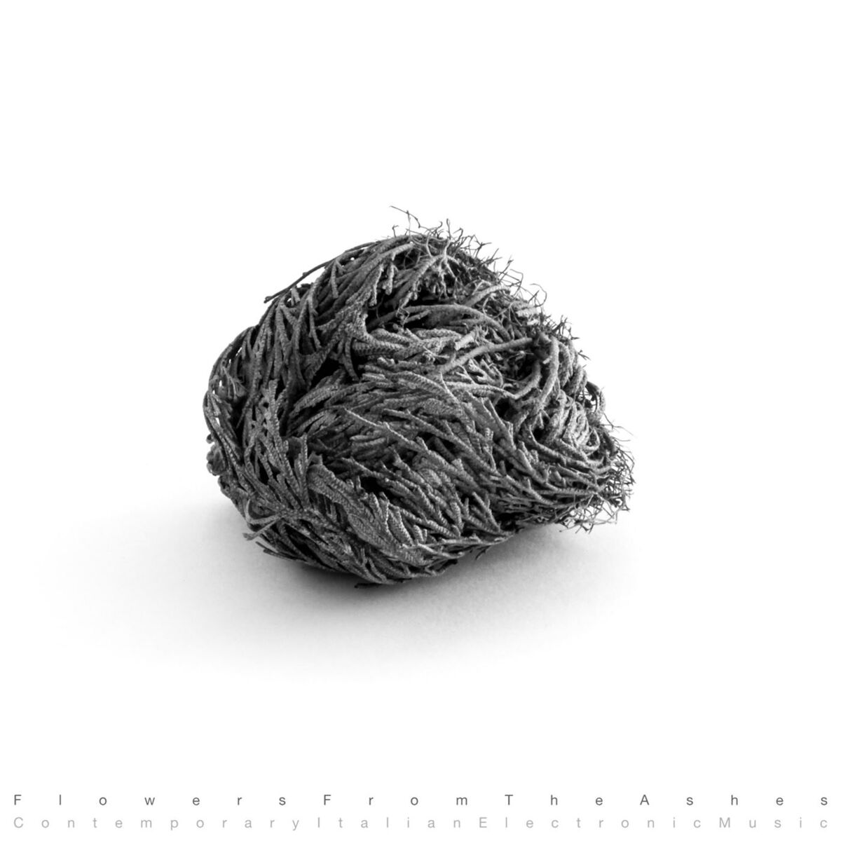 Album cover of Flowers from the Ashes: Contemporary Italian Electronic Music