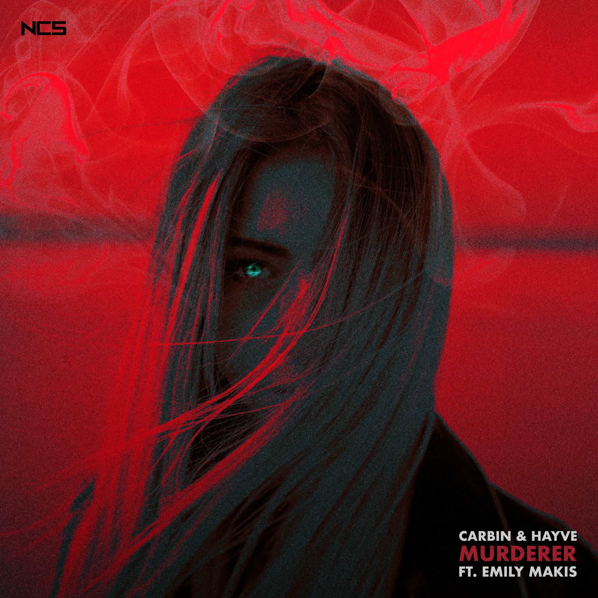 Album cover of Murderer