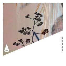 Cover of Permaneced