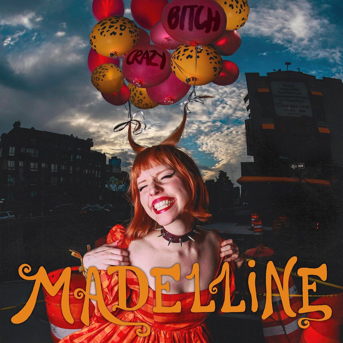 Album cover of Crazy Bitch