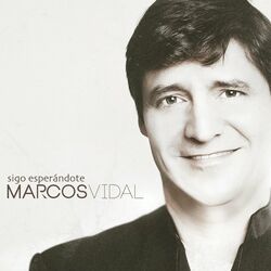 Cover of Sigo Esperándote