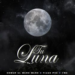 Cover of Tu Luna