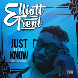 Cover of Just so You Know