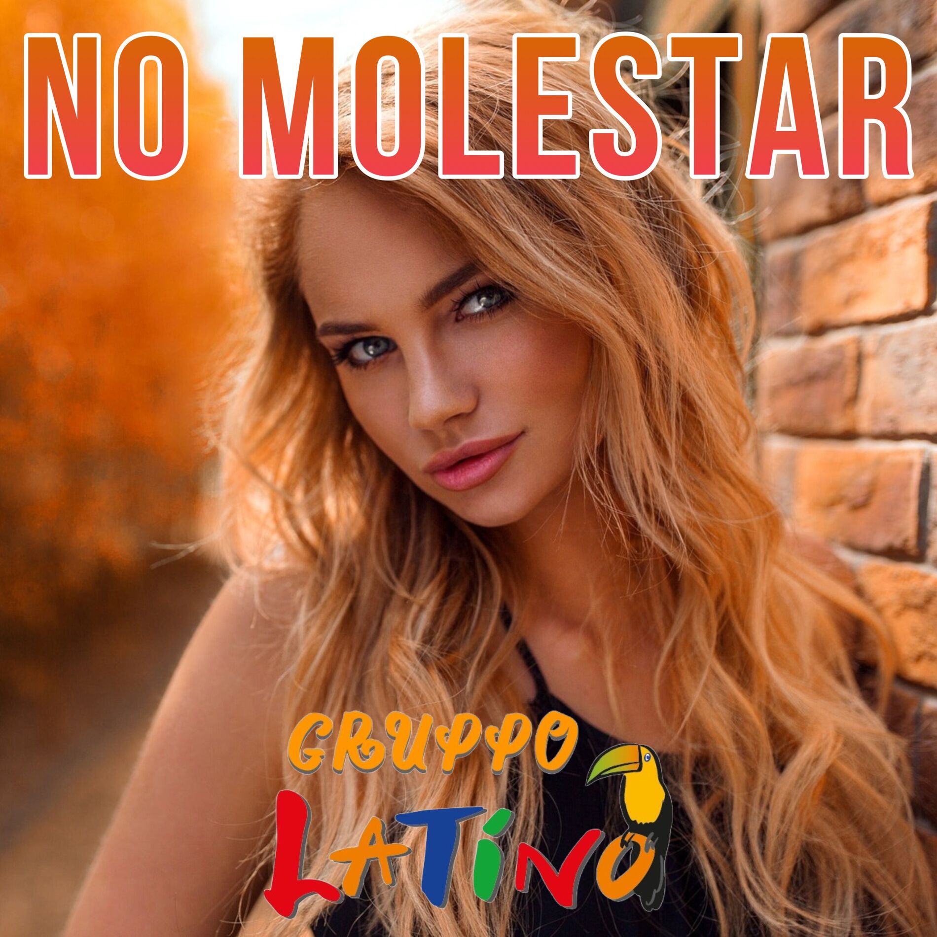 Album cover of No Molestar