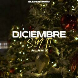 Cover of Diciembre Sin Ti