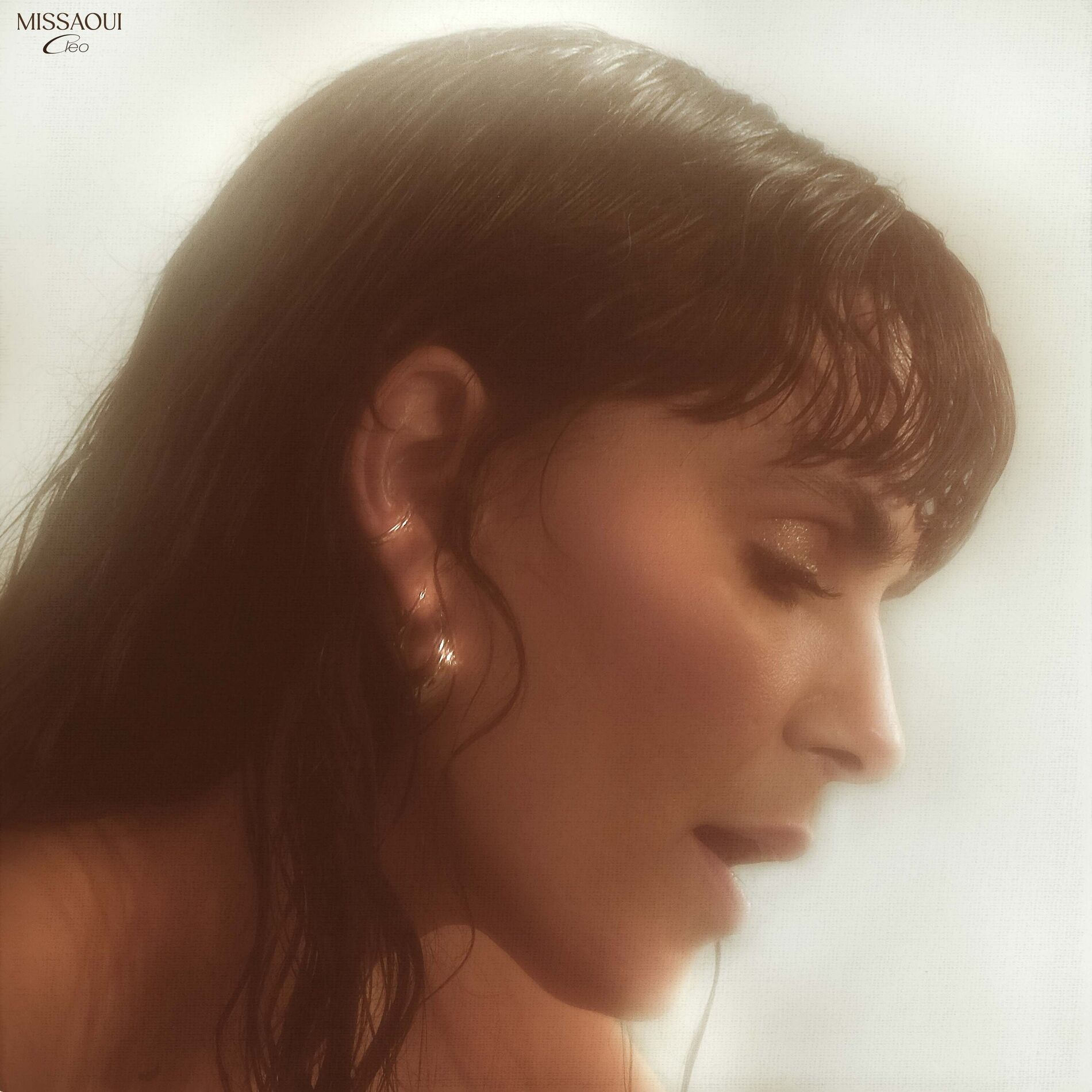 Album cover of Torneträsket