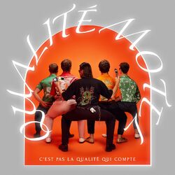 Cover of C'est pas la qualité qui compte
