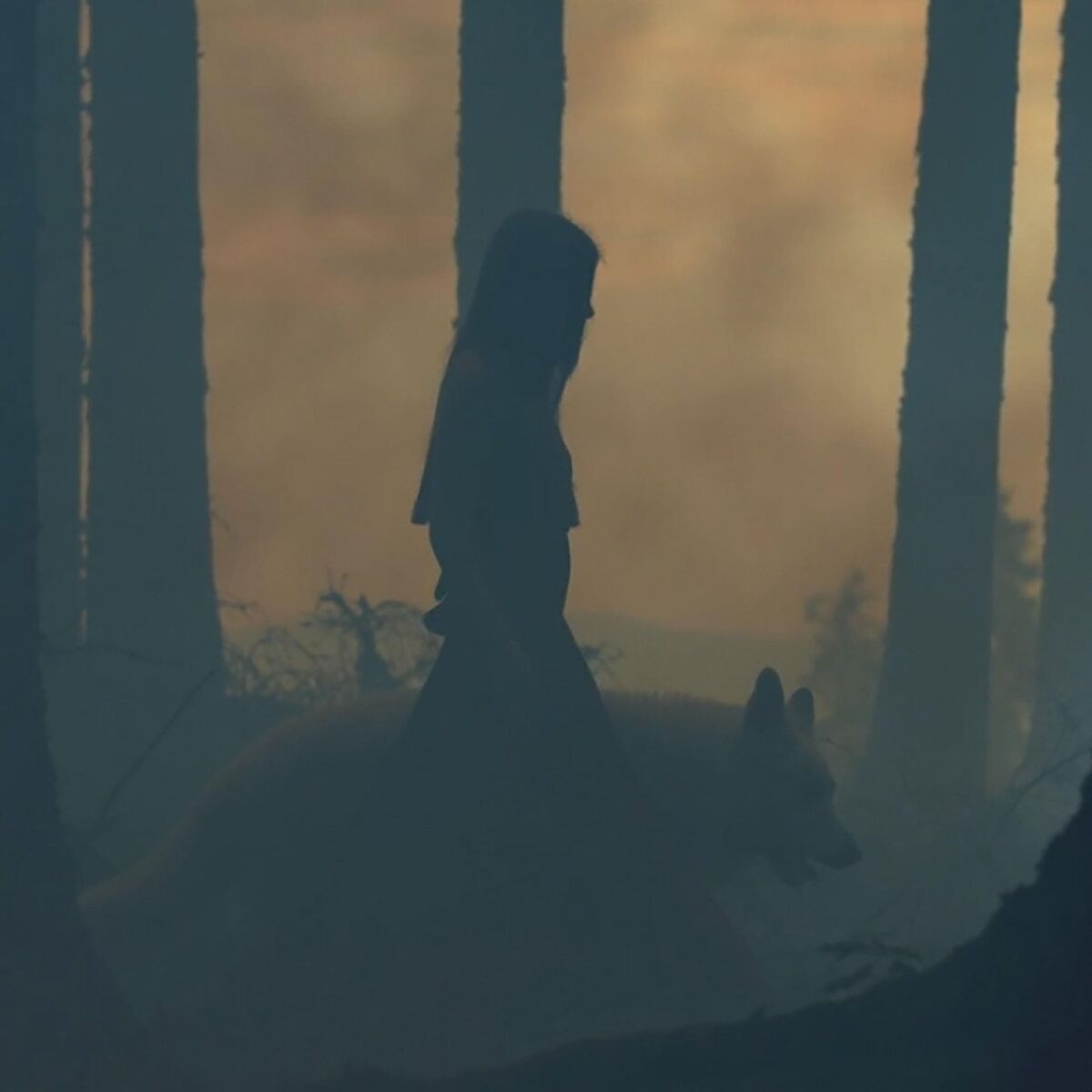 Album cover of Viking Music (Wolf Spirit)