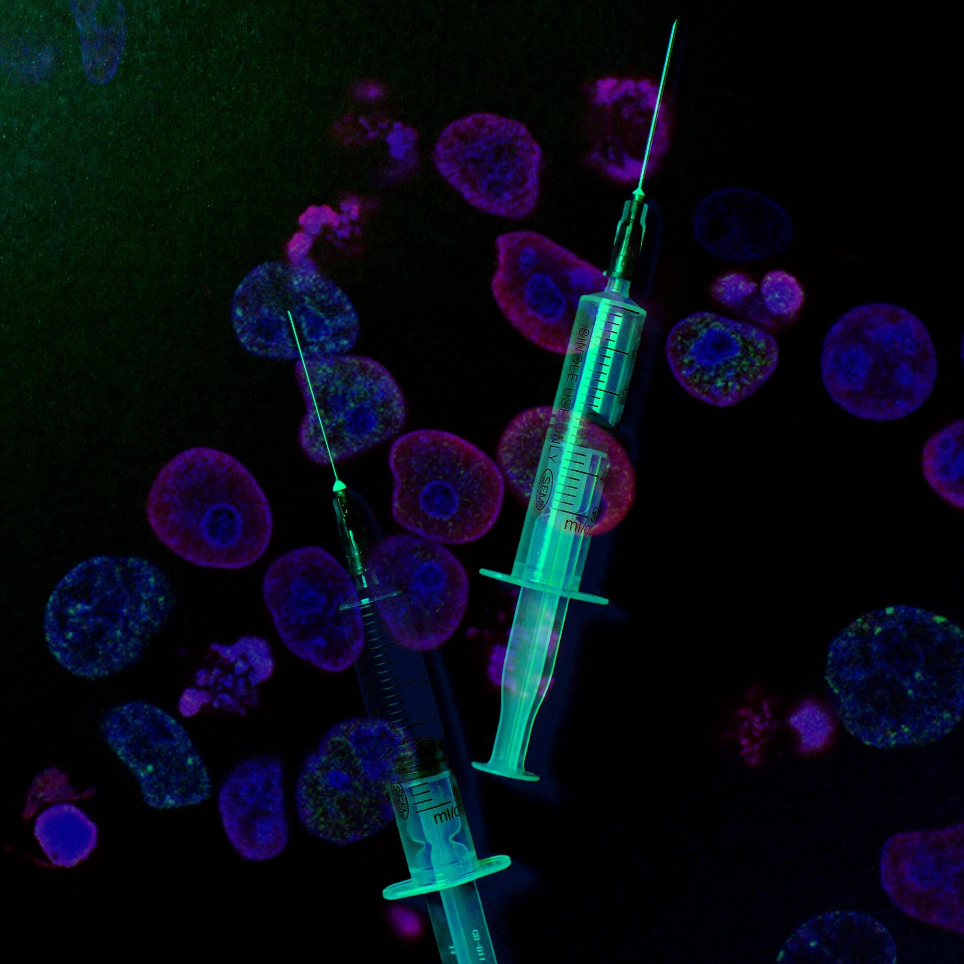Album cover of Needles