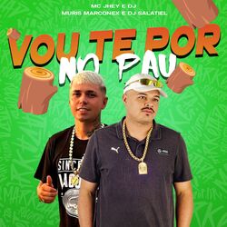 Vou Te por no Pau