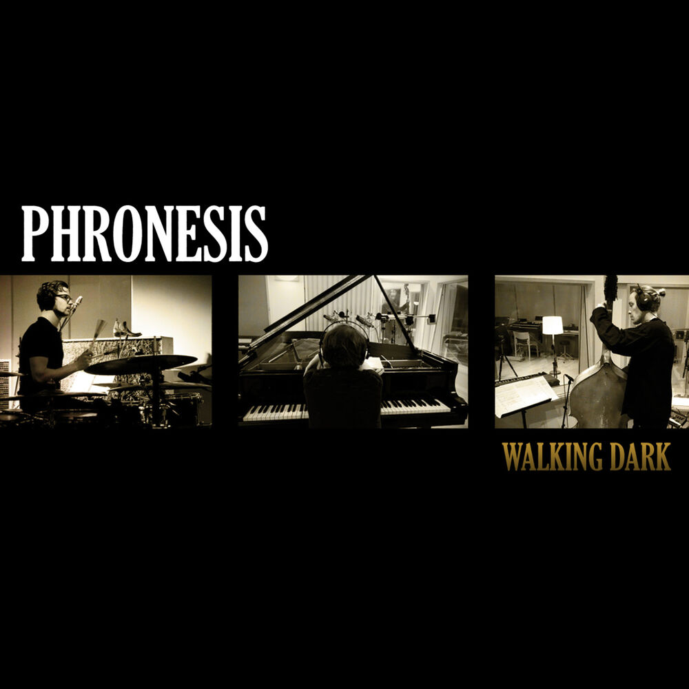 Picture of Walking Dark