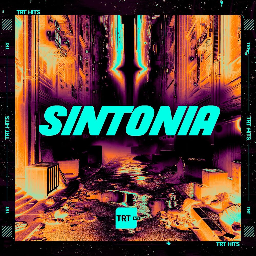 Picture of Sintonia