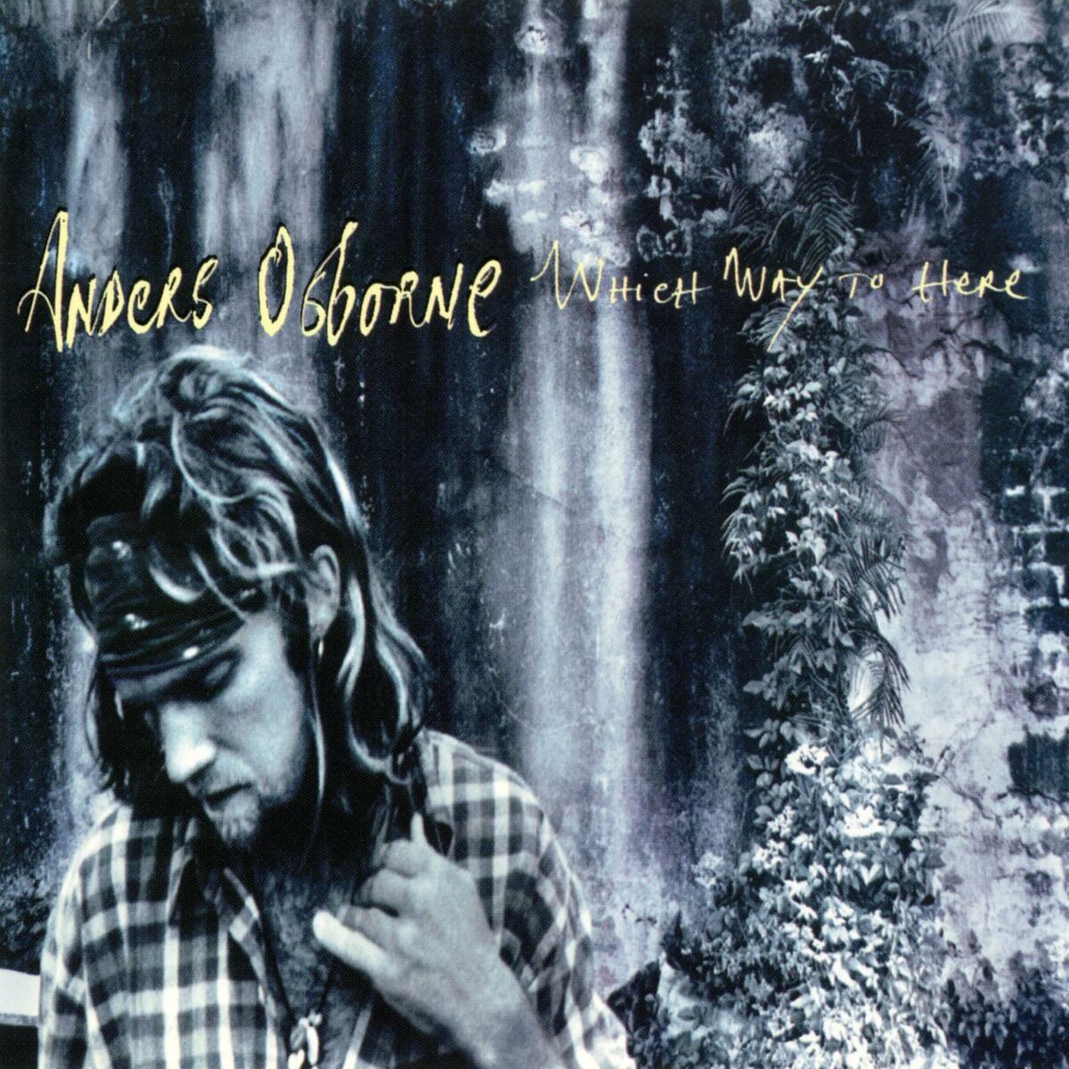 Album cover of Favorite Son