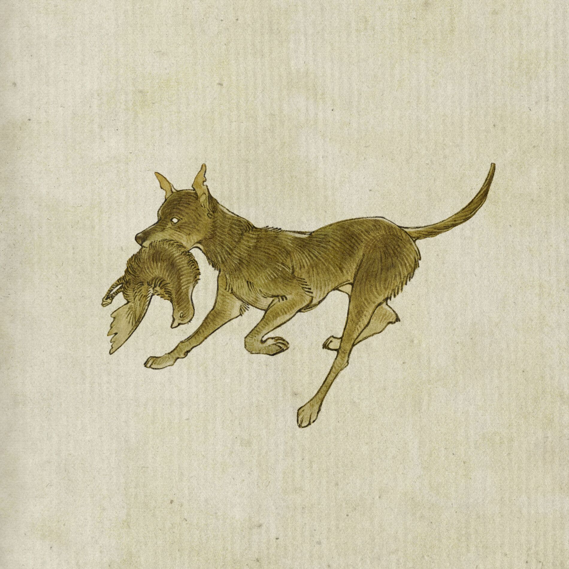Album cover of And the Hound