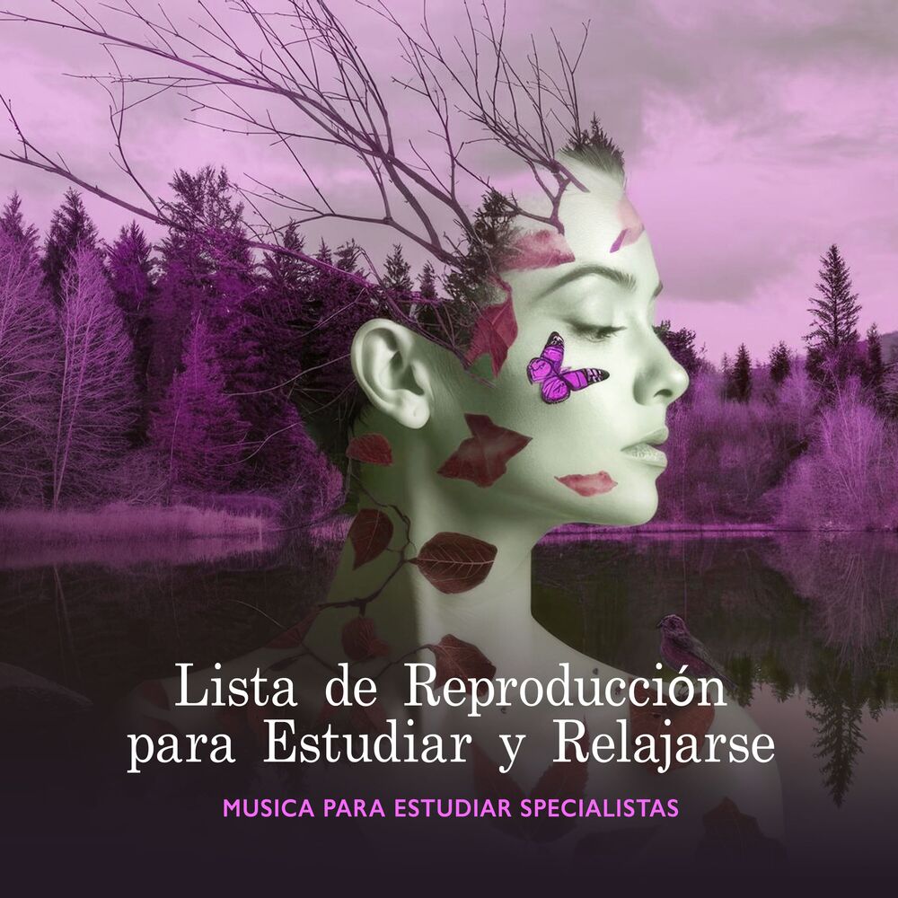 Picture of Lista de Reproducción para Estudiar y Relajarse