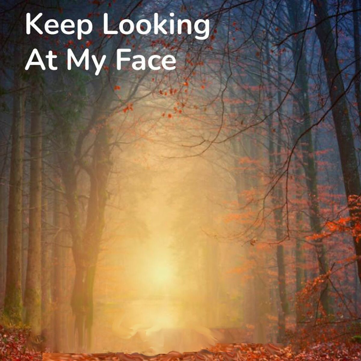Album cover of Keep Looking At My Face