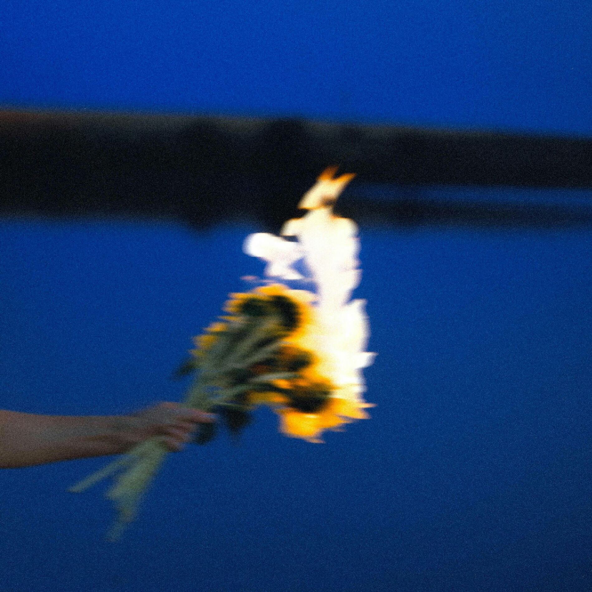 Album cover of Backburner