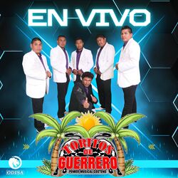 Cover of Los Toritos De Guerrero En Vivo