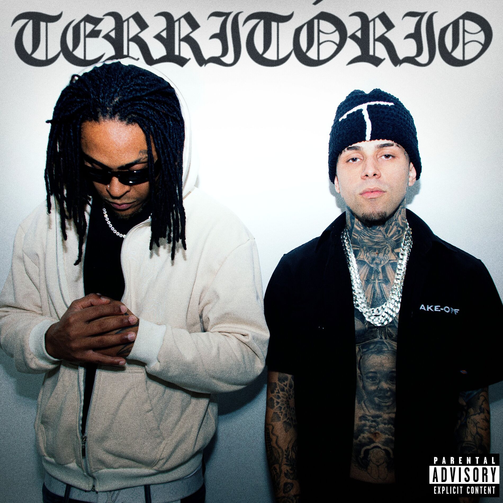 Album cover of Território