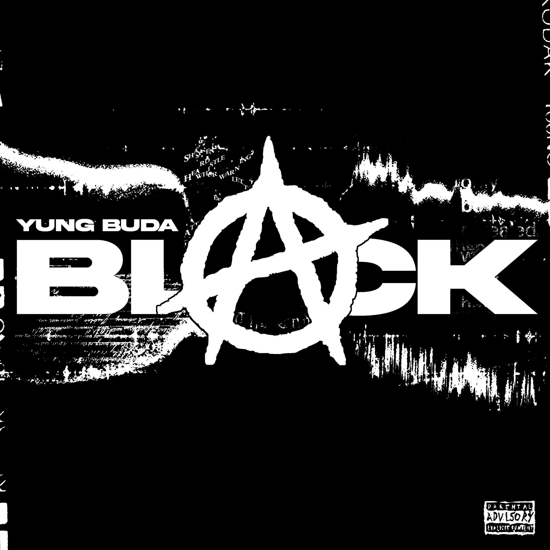 Album cover of Black