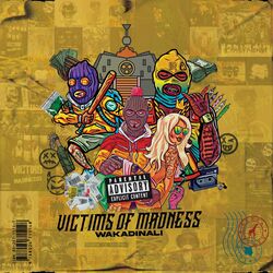 Cover of Victims of Madness