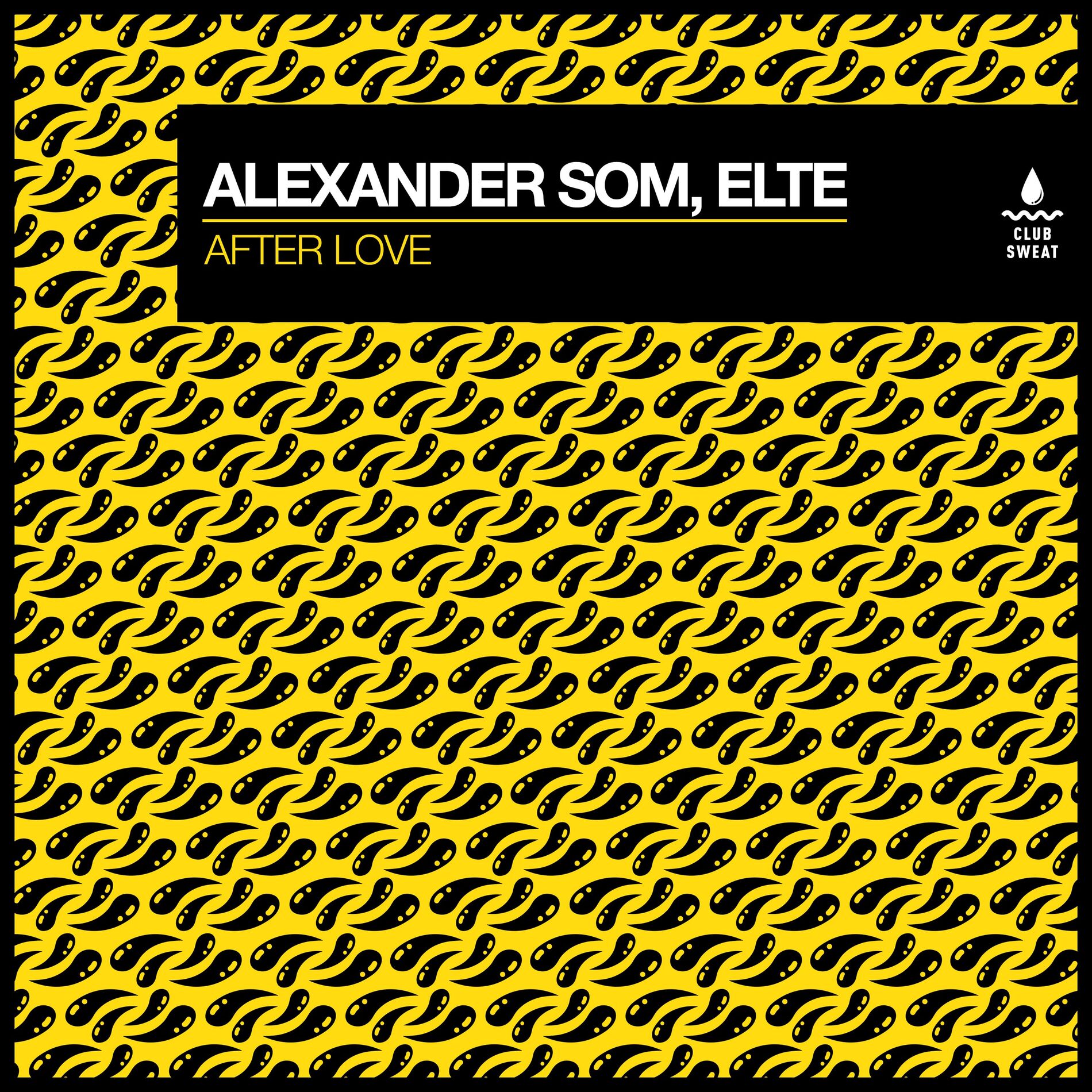 Album cover of After Love