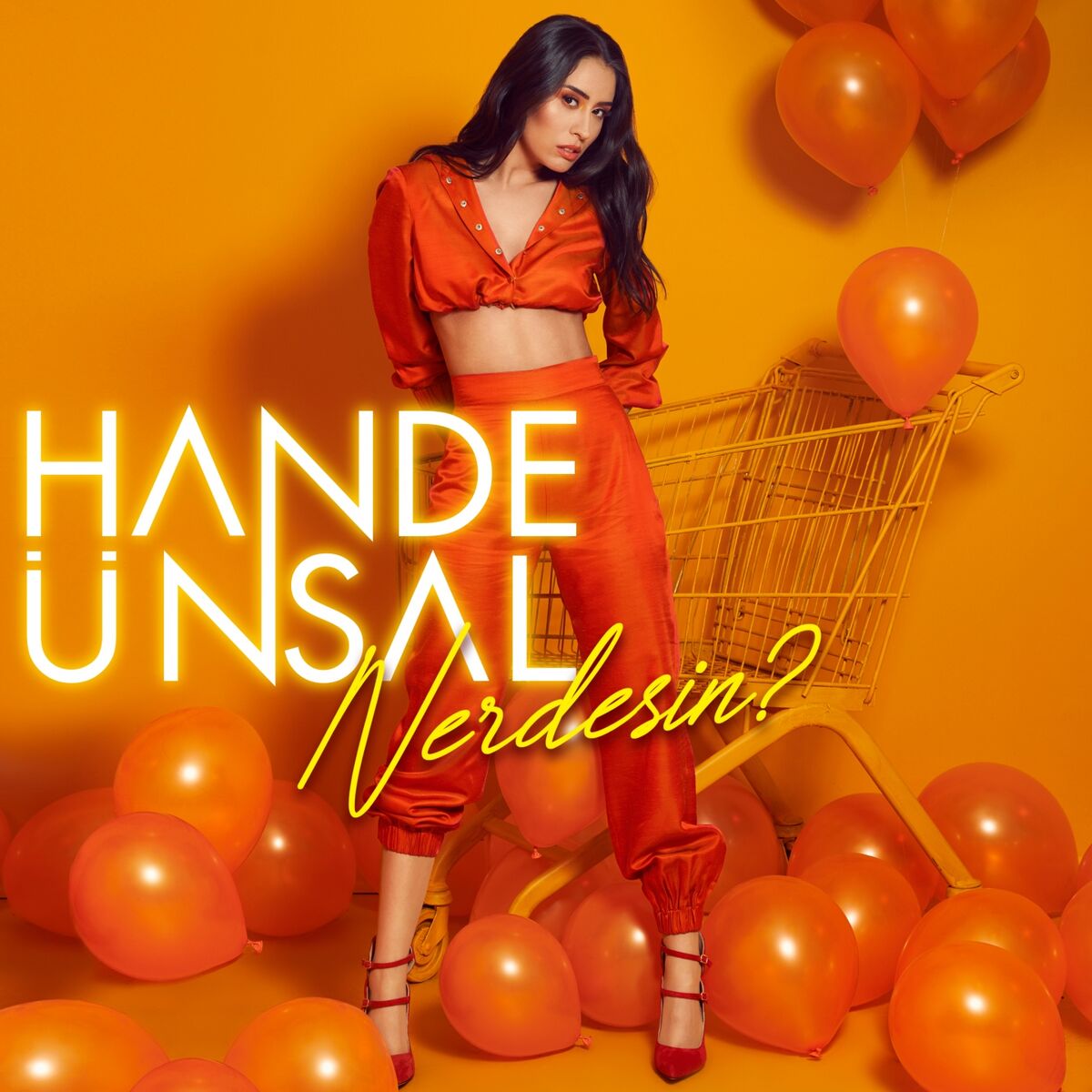 Album cover of Nerdesin?