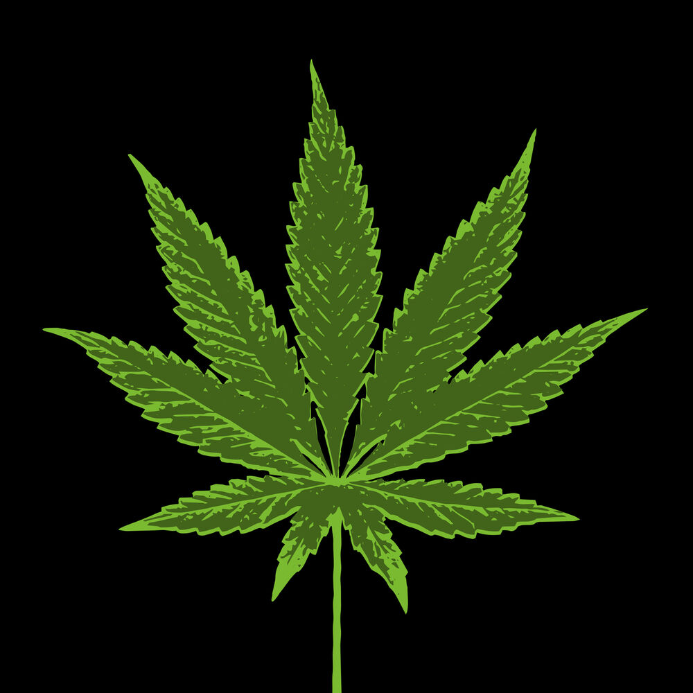 Picture of Marijuana