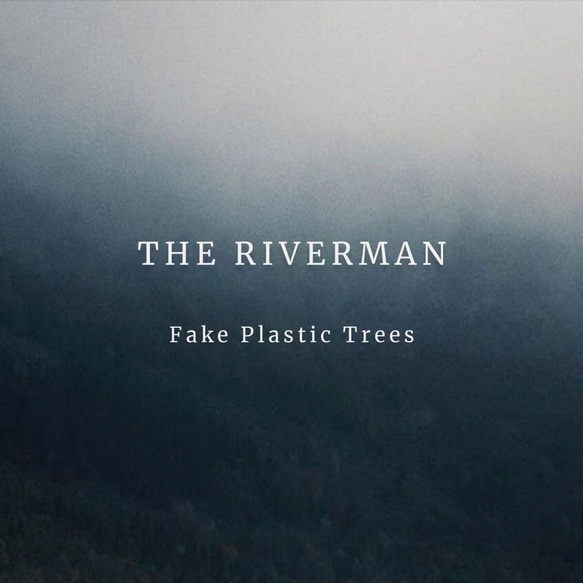Album cover of Fake Plastic Trees