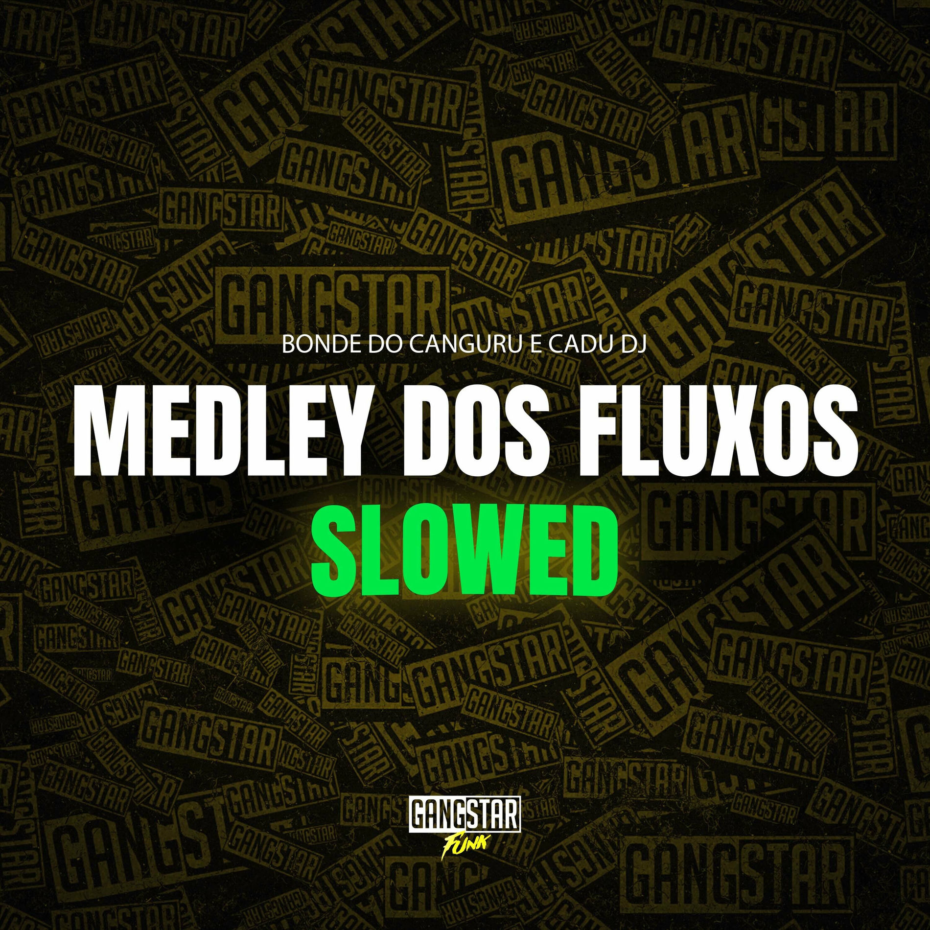 Album cover of Medley dos Fluxos - Slowed