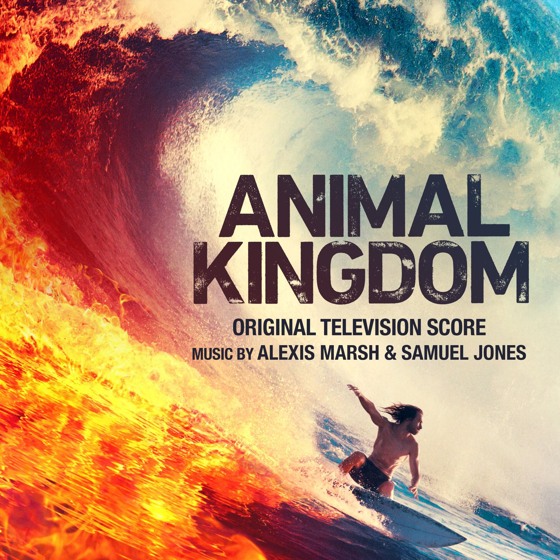 Album cover of Big Love (Animal Kingdom Main Title Theme)