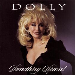 Cover of Something Special