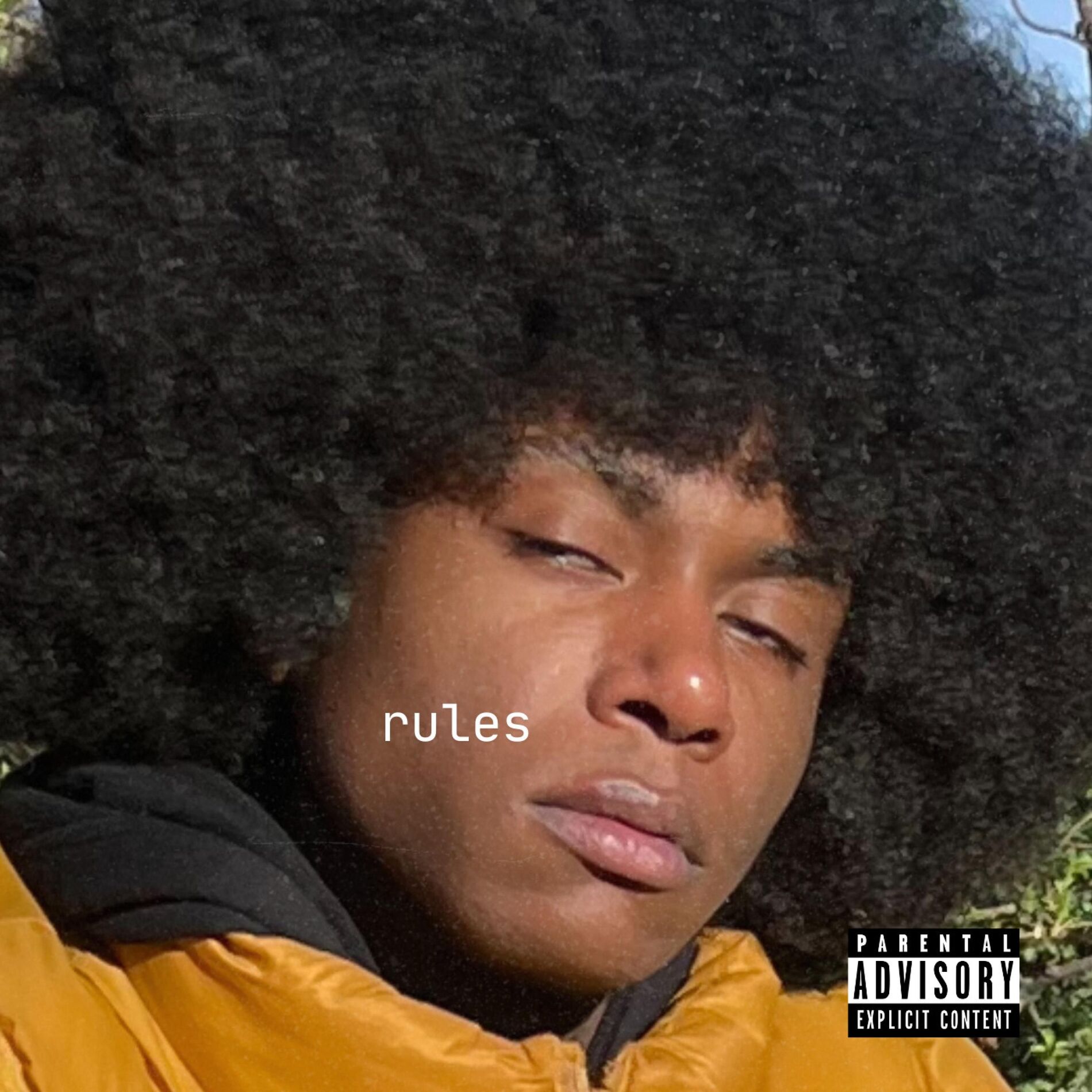 Album cover of rules