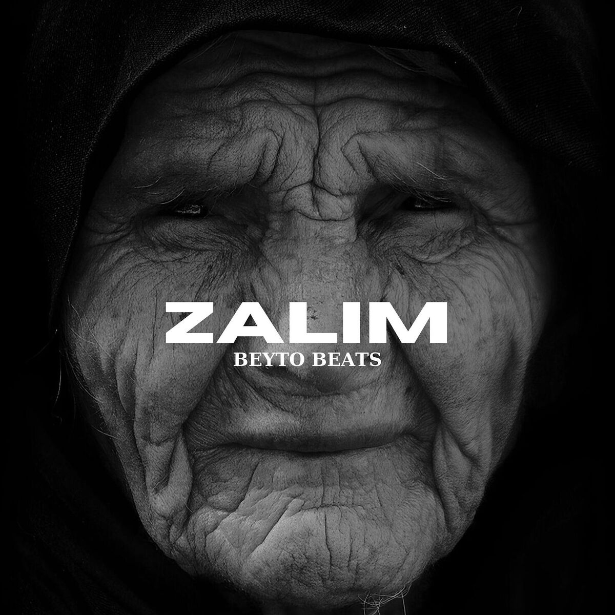 Album cover of Zalım